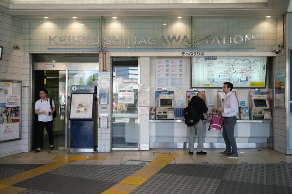 Quels sont les équipements indispensables pour un camping en région de forêts de pins?