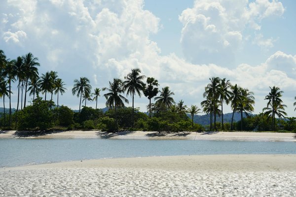 Quels sont les meilleurs spots pour l'escalade en rocher dans les Dolomites, Italie : conseils et saisons ?