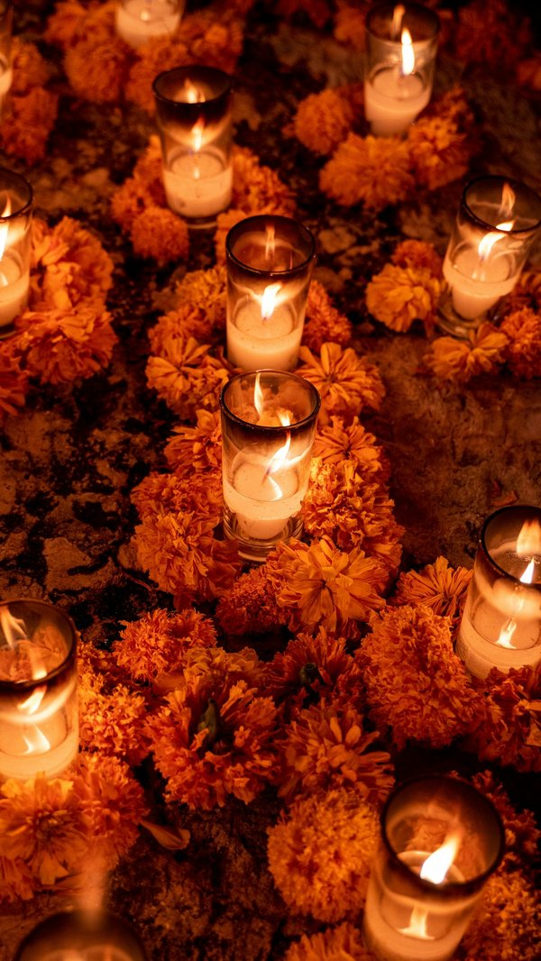 Quelles croisières permettent de suivre des ateliers de méditation et de pleine conscience?