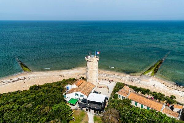 Quels sont les meilleurs spots pour observer les baleines bleues en Antarctique?