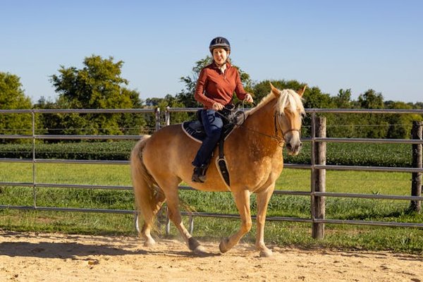 Peut-on trouver une maison de vacances en Provence avec des cours de cuisine et des balades à cheval?